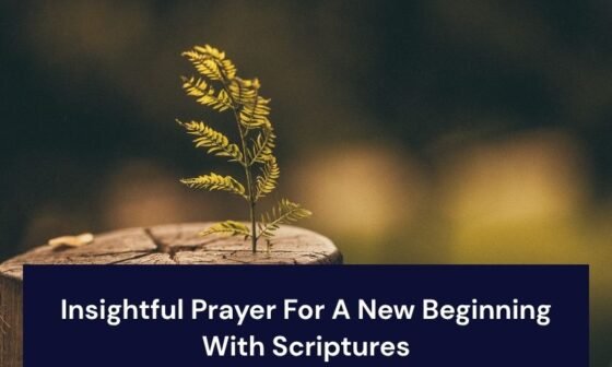 Insightful Prayer For A New Beginning​ With Scriptures