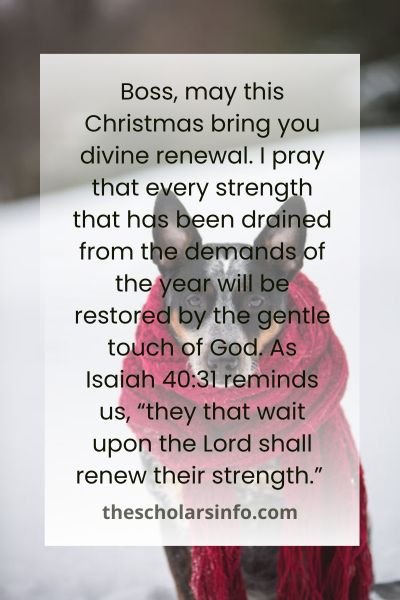 Happy Christmas Wishes And Prayers To My Boss