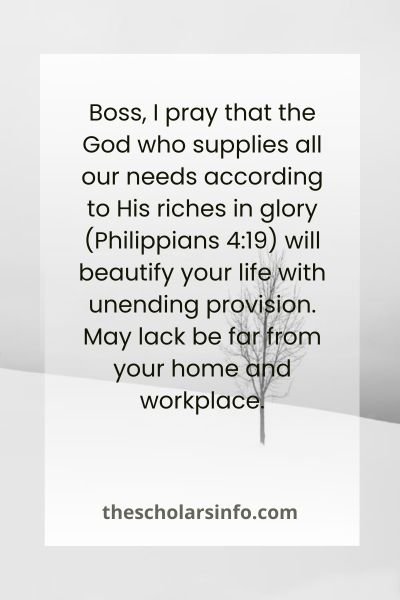 Happy Christmas Wishes And Prayers To My Boss