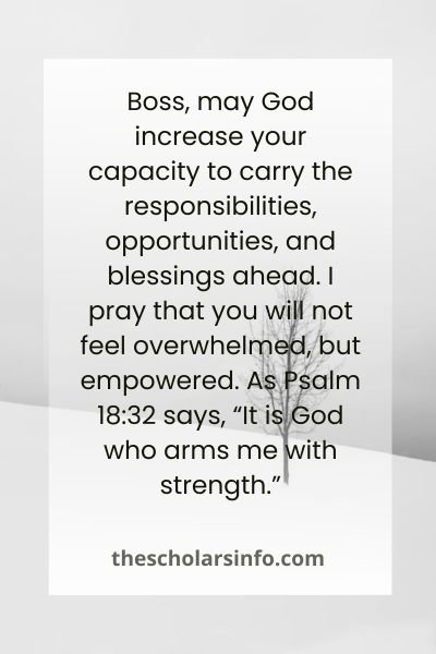 Happy Christmas Wishes And Prayers To My Boss