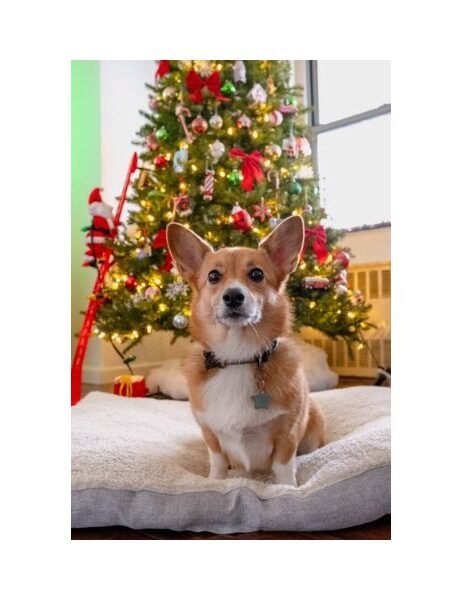 Christmas Day Prayers for Family