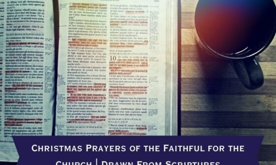 Christmas Prayers of the Faithful for the Church